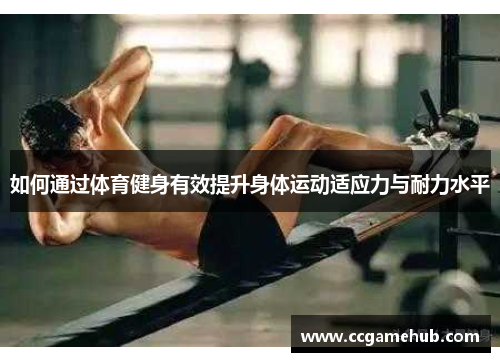 如何通过体育健身有效提升身体运动适应力与耐力水平